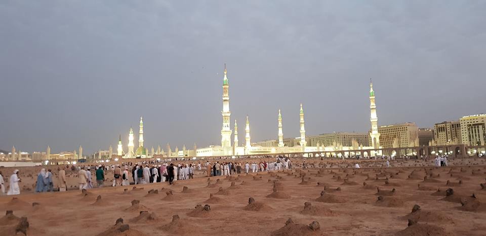 40684452 10212554192157387 7274704460801114112 n