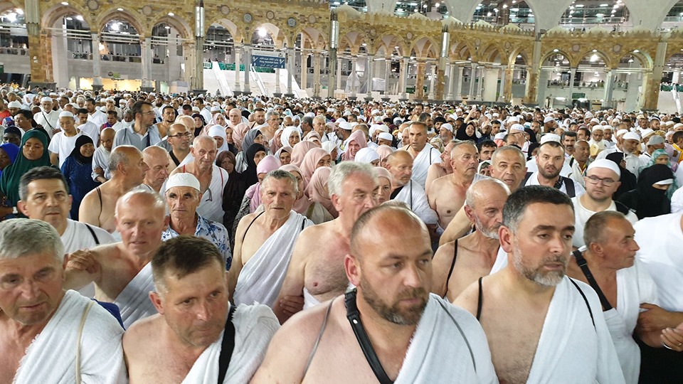 67517098 447824906064117 5479735918682177536 n