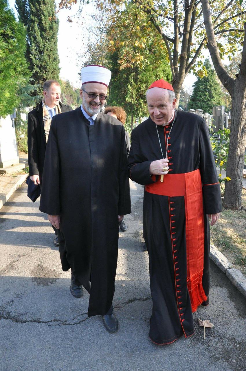 WhatsApp Image 2018 11 18 at 23.21.22