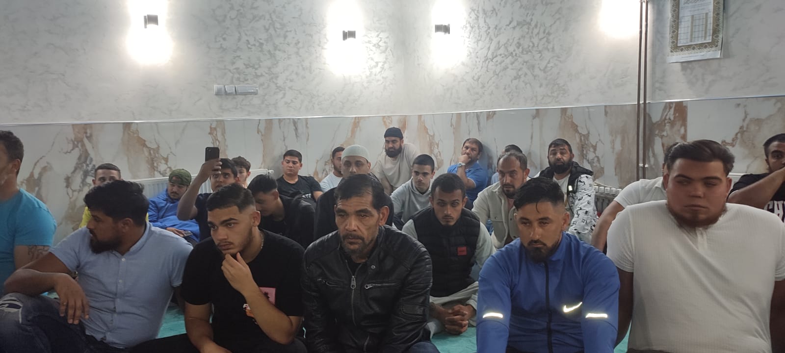 smederevska teravija 11