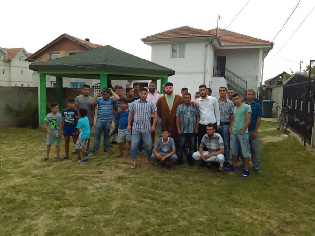 ledine6